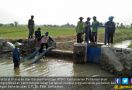 Lahan Dilanda Banjir, Kementan Ajak Petani Grobogan Gunakan Asuransi - JPNN.com