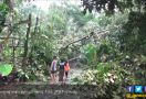 Angin Puting Beliung Terjang Rumah Warga di Dua Desa - JPNN.com