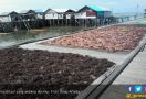 Hamdalah, Ekspor Rumput Laut Indonesia Meningkat di Kala Pandemi - JPNN.com