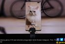 Ada Mode Khusus Instagram di Samsung Galaxy S10 - JPNN.com