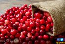 Kaya Antioksidan, Manfaat Cranberries untuk Kesehatan - JPNN.com
