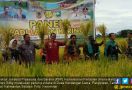 Pesan Penting Dirjen PSP Sarwo Edhy untuk Petani Tanah Laut - JPNN.com