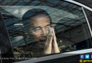 Jokowi Tak Pernah Memaksa Siapa pun Kembalikan Konsesi ke Negara - JPNN.com
