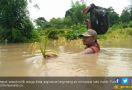 Terendam Banjir, Sepuluh Hektare Sawah di Desa Sugiwaras Gagal Panen - JPNN.com