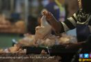 Stok Daging Ayam Aman Hingga Idulfitri - JPNN.com