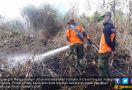 KLHK: Satu Kali Lalai, 150 Hektare Lahan Bisa Terbakar Selama Sehari - JPNN.com