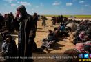 Pengin Pulang, Puluhan Istri Anggota ISIS Gugat Pemerintah Belanda - JPNN.com