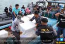 Ratusan Ribu Benih Lobster Dilepasliarkan di Natuna - JPNN.com