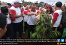 Demi Menghijaukan Indonesia, KLHK Gelar Penanaman Pohon di Rumpin - JPNN.com