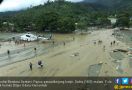 Belasan Anjing Pelacak Dikerahkan Cari Korban Banjir Bandang Sentani - JPNN.com