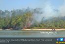 Hutan Lindung Duriangkang Dibakar, Pelaku Diduga Pembalak Liar - JPNN.com