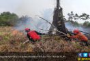 Bakti Rimbawan Manggala Agni KLHK Wujudkan Lingkungan Bebas Karhutla - JPNN.com