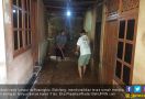 Banjir Bandang Menerjang, Rumah Hancur, Ternak Warga Hanyut - JPNN.com