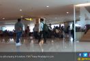 Penumpang Heran Tidak Ada Informasi Pembatalan Penerbangan Sriwijaya SJ 248 - JPNN.com
