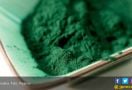 Pengguna Spirulina Perlu Baca Informasi Ini - JPNN.com