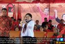 Megawati Ikut Panen Raya Padi MSP di Indramayu - JPNN.com