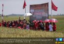 Panen Raya Padi MSP, Megawati Dukung Penelitian di Sektor Pangan - JPNN.com