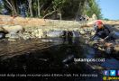 DLH Angkut 195 Karung Limbah Minyak yang Mencemari Laut Batam - JPNN.com