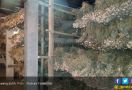 Kejar Target Swasembada, Kementan Genjot Produksi Bawang Putih di Sukabumi - JPNN.com