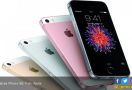 Apple Setop Penjualan iPhone SE, iPhone 6 Series di India, Ini Alasannya! - JPNN.com