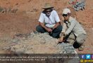 Fosil Dinosaurus Berumur 220 Juta Tahun Ditemukan di Argentina - JPNN.com