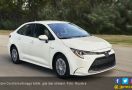 Toyota Tunjuk Brasil untuk Produksi Sedan Corolla Listrik - JPNN.com