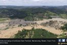 Rumah Liar dan Perkebunan Warga Makin Menjamur di Kawasan Dam - JPNN.com