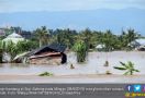 Penebangan Liar Penyebab Banjir Bandang di Sulteng - JPNN.com