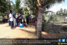 Bocah 8 Tahun Diterkam Buaya Saat Berjalan di Dermaga Sungai - JPNN.com
