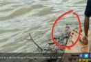 Mayat Bayi Hanyut di Sungai Sedati Kebumen - JPNN.com