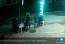 Anaknya Siapa Nih Terekam CCTV Curi Kotak Amal Saat Sahur - JPNN.com