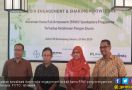 Croplife Edukasi Petani Indonesia Tentang Penanganan Hama Fall Armyworm - JPNN.com