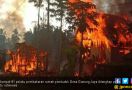 87 Unit Rumah yang Dibakar di Desa Gunung Jaya akan Dibangun Pemerintah - JPNN.com