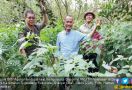 BKP Kementan Dorong Pengembangan Korporasi Usaha Tani di Gianyar Bali - JPNN.com