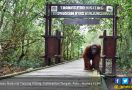 KLHK Harapkan Taman Nasional Bisa Jadi Badan Layanan Umum - JPNN.com