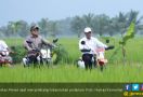 Kerja Sektor Pertanian Berprestasi, Mampu Wujudkan Nawacita Jokowi - JPNN.com