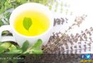 Jaga Kesehatan Tubuh dengan Rutin Mengonsumsi 5 Minuman Herbal Ini - JPNN.com