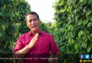 Sesuai Arahan Mentan Amran, Indonesia Siap Tingkatkan Ekspor Hortikultura ke Singapura - JPNN.com