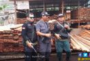 Bersama Polres Nunukan, KLHK Sita Ribuan Potong Kayu Ilegal - JPNN.com