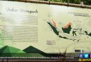 Mengenal Kekayaan Budaya dan Sejarah Nusantara Melalui Jalur Rempah - JPNN.com
