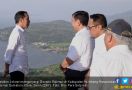 Presiden Jokowi: Izin Perusahaan Perusak Lingkungan Danau Toba Bisa Dicabut - JPNN.com