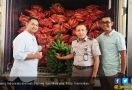 Pisang Indonesia Masuk Pasar Malaysia - JPNN.com
