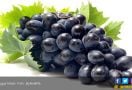 15 Manfaat Anggur, Penyakit Kronis Ini Bakalan Ambyar - JPNN.com