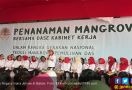 Ke Batam Bareng Bu Mufidah, Iriana Jokowi: Kami Bukan Mau Belanja - JPNN.com