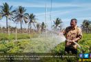 Dirjen Hortikultura Gelar Rapat Koordinasi Bahas Hambatan Investasi Pertanian - JPNN.com