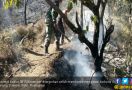 Anggota Kodim Kuningan Bantu Mengatasi Karhutla di Gunung Ciremai - JPNN.com