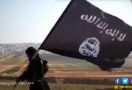 Akhir Tahun, Polisi Sikat 70 Terduga Anggota ISIS - JPNN.com
