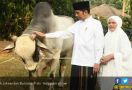 Tak Mau Merembet ke Mana-Mana, Jokowi Tolak Keinginan PDIP - JPNN.com