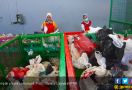 Selama Lima Bulan, Indonesia Sudah Impor 882 Kontainer Sampah Plastik - JPNN.com