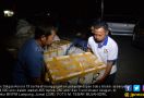 Satgas Aorora 9 Gagalkan Penyeludupan Baby Lobster Senilai Rp 17 Miliar ke Vietnam - JPNN.com
